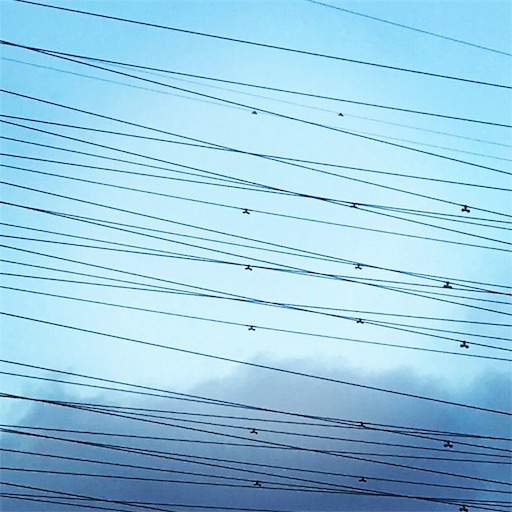 f:id:mimeyama:20181007165901j:image f:id:mimeyama:20181007165901j:image