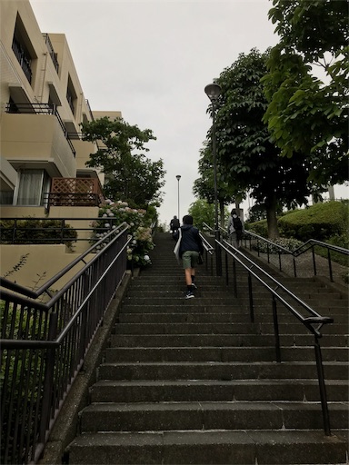 f:id:mimeyama:20190711073029j:image