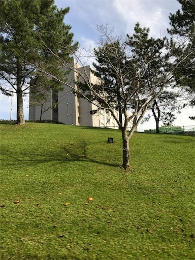 f:id:mimeyama:20191101224644j:image f:id:mimeyama:20191101224644j:image