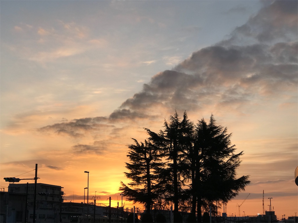 f:id:mimeyama:20210309015741j:image