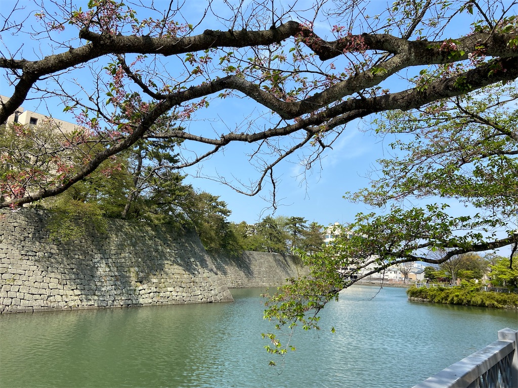 f:id:mimeyama:20220528203941j:image f:id:mimeyama:20220528203941j:image