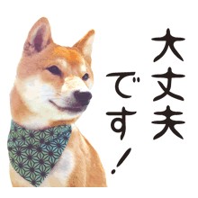 f:id:mimi32222:20200722150406j:plain f:id:mimi32222:20200722150406j:plain