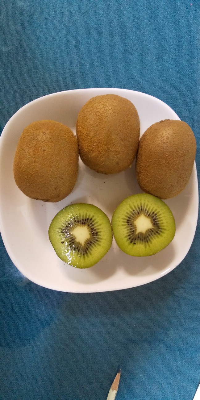 f:id:mimi32222:20210228165506j:plain