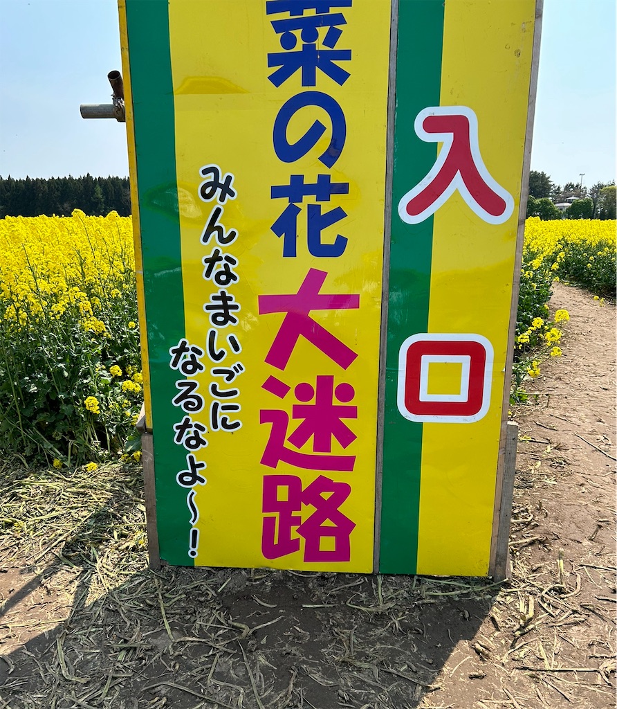 f:id:mimi7tan:20250520002214j:image