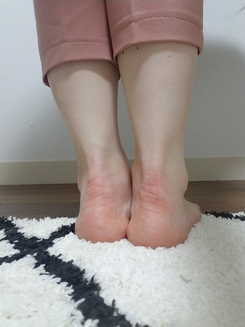 f:id:mimidu2019:20200528090258j:image f:id:mimidu2019:20200528090258j:image