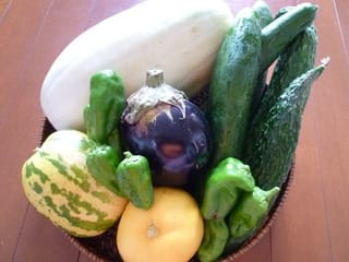 白瓜と鶏団子の煮物、できました - みーことふーこの山ある記