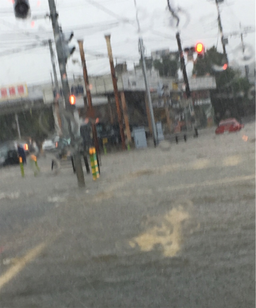 f:id:mimigah:20210818165101j:image f:id:mimigah:20210818165101j:image