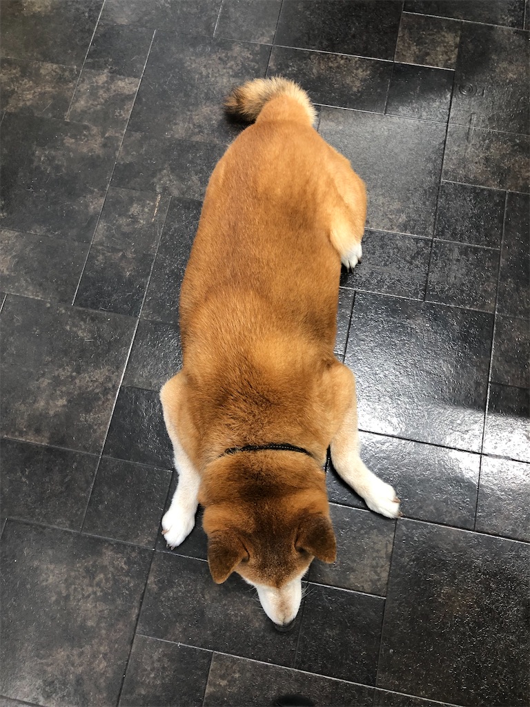 f:id:mimigah:20210821225123j:image