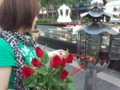 20121206113503