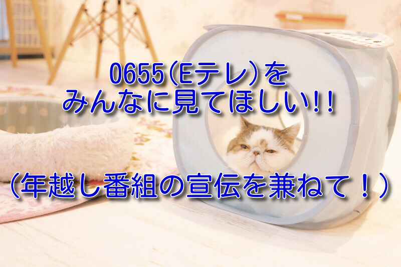 0655 Eテレ をみんなに見てほしい 年越し番組の宣伝を兼ねて 中小企業ワーママの雑記