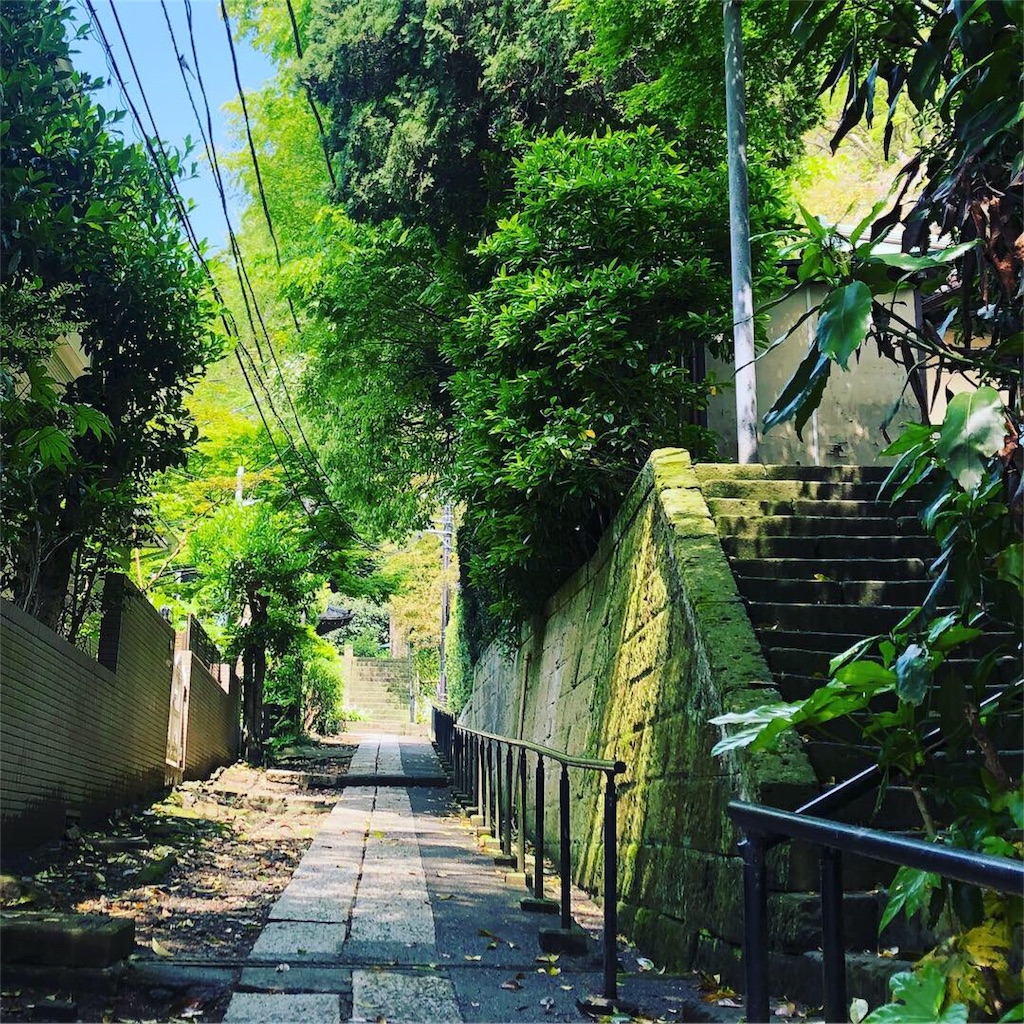 f:id:mimikirigirisu:20190502135759j:image f:id:mimikirigirisu:20190502135759j:image