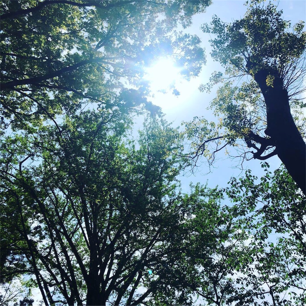 f:id:mimikirigirisu:20190502135852j:image f:id:mimikirigirisu:20190502135852j:image