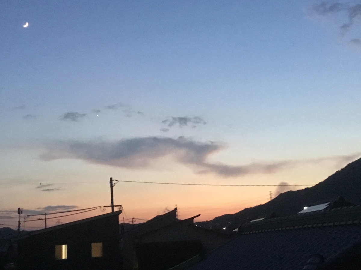 f:id:mimikobito:20210713195134j:plain