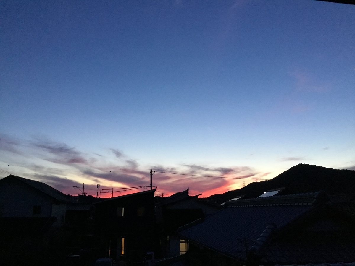 f:id:mimikobito:20210725151110j:plain