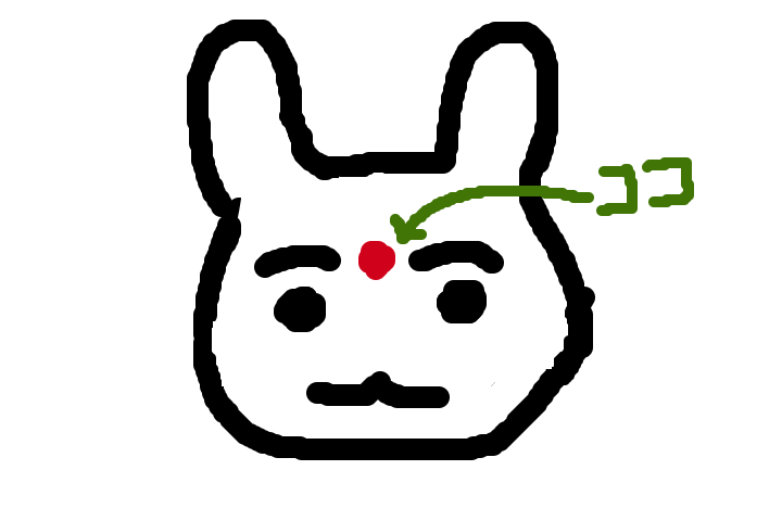 f:id:mimikobito:20210812141331p:plain