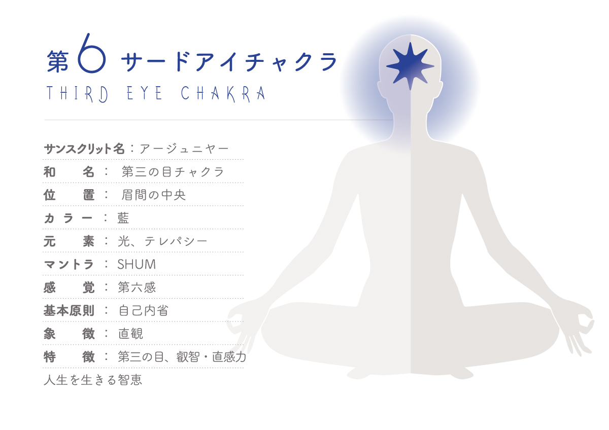 f:id:mimikobito:20210823133831j:plain