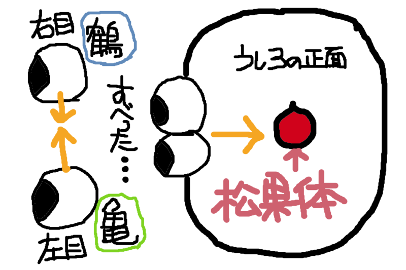 f:id:mimikobito:20210831172831p:plain