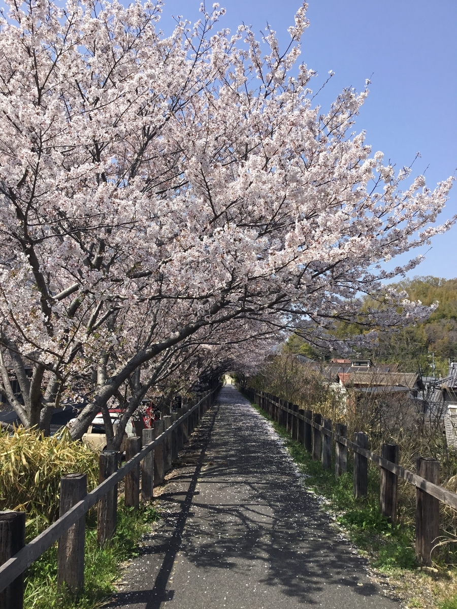 f:id:mimikobito:20220407211726j:plain