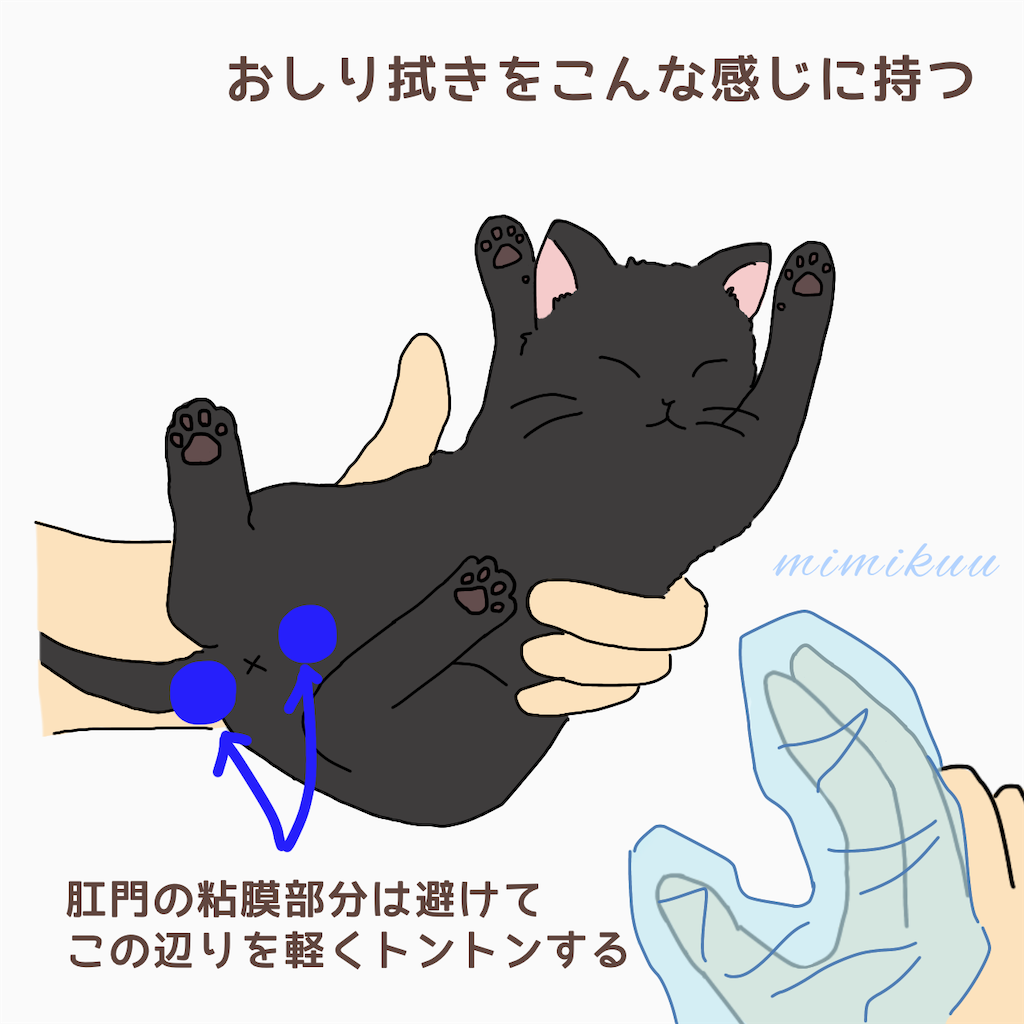f:id:mimikuucat:20211113104515p:image f:id:mimikuucat:20211113104515p:image