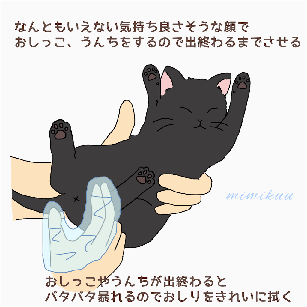 f:id:mimikuucat:20211113104521p:image f:id:mimikuucat:20211113104521p:image