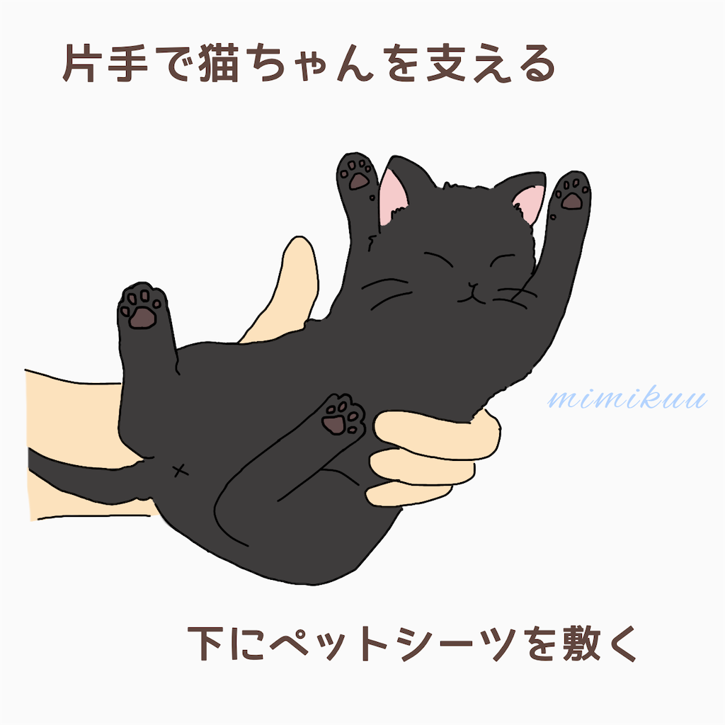f:id:mimikuucat:20211114005928p:image f:id:mimikuucat:20211114005928p:image