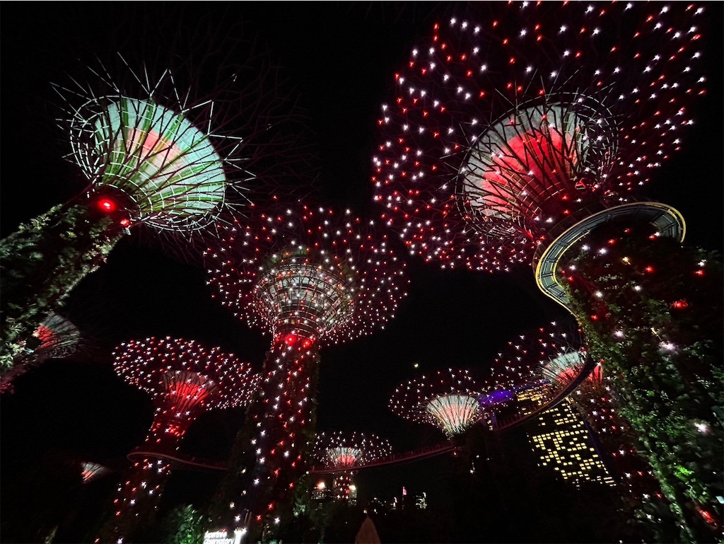 f:id:mimimibox:20251220112038j:image f:id:mimimibox:20251220112038j:image