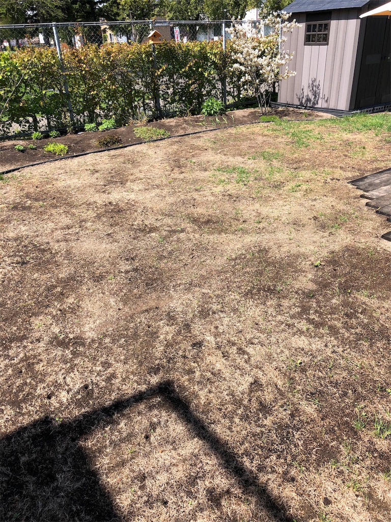 f:id:mimimigarden:20180512111514j:image f:id:mimimigarden:20180512111514j:image