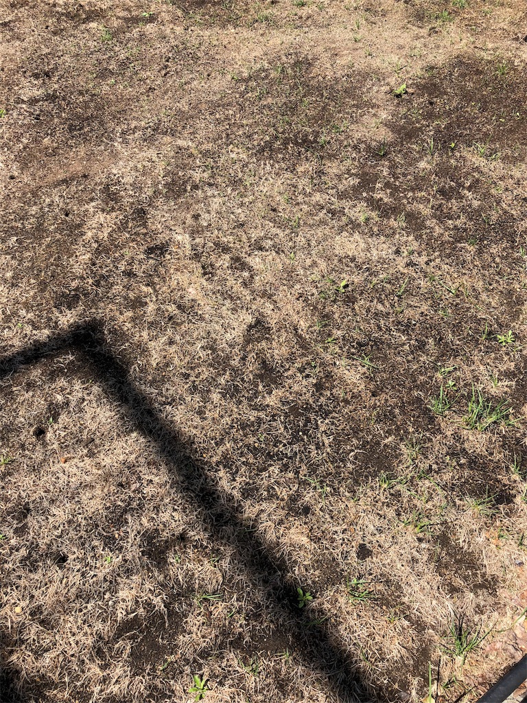 f:id:mimimigarden:20180512111517j:image f:id:mimimigarden:20180512111517j:image