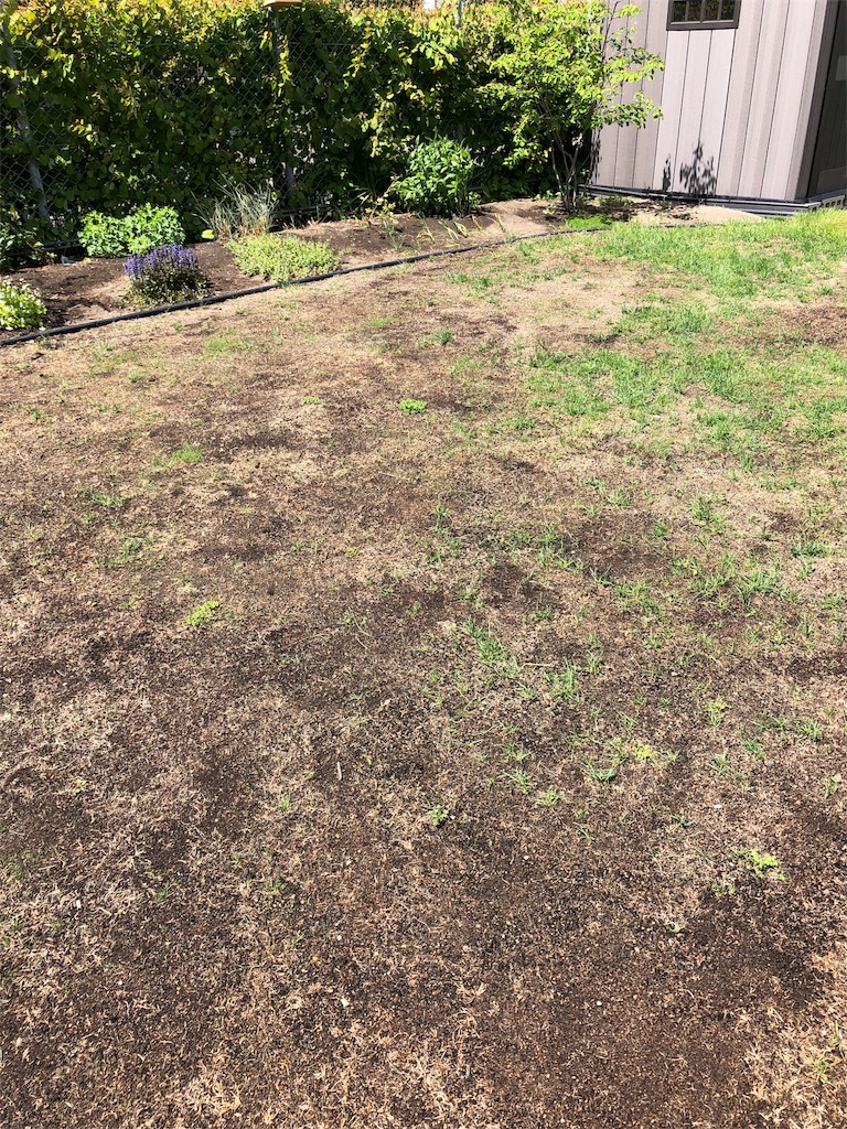 f:id:mimimigarden:20180524103135j:image f:id:mimimigarden:20180524103135j:image