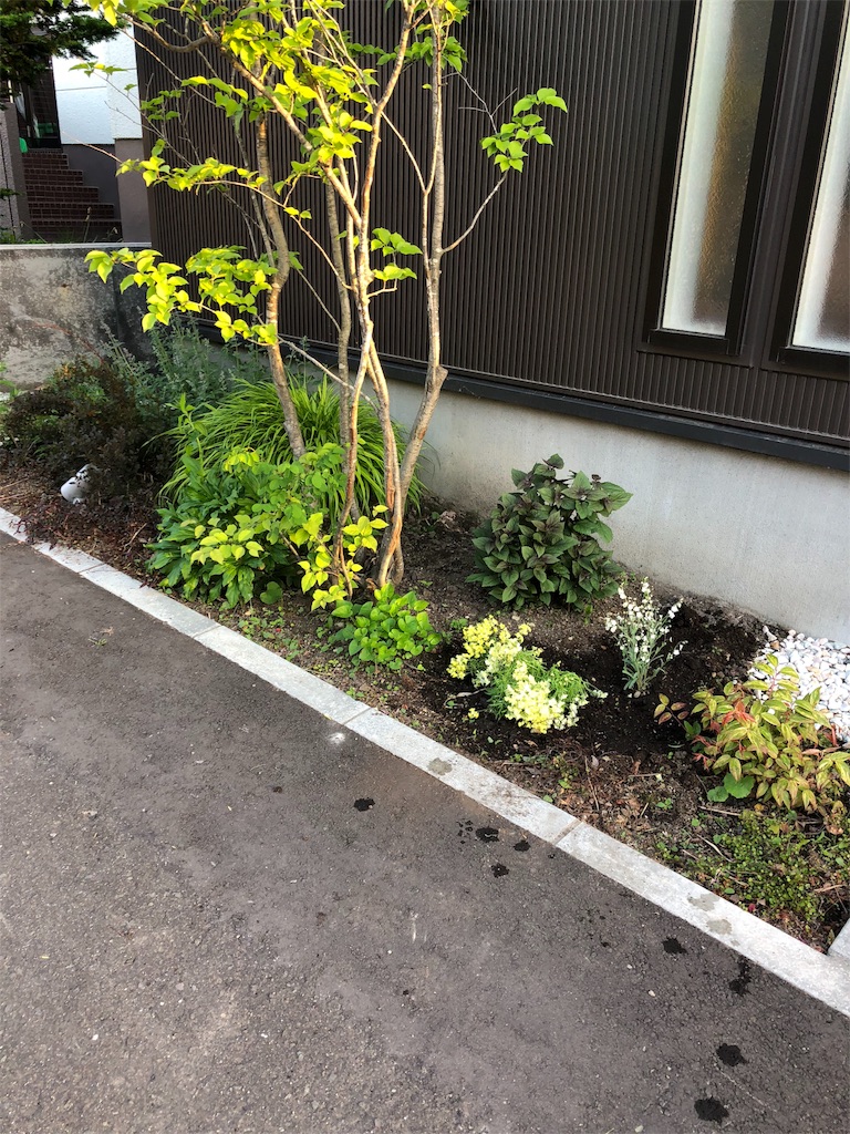 f:id:mimimigarden:20180603202131j:image