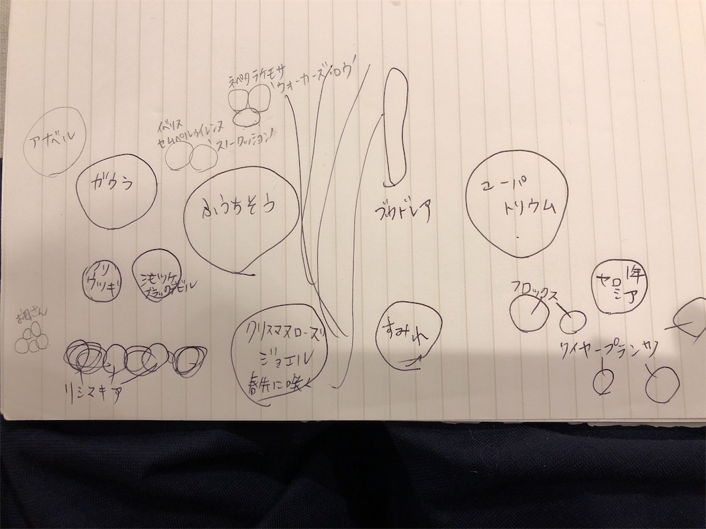 f:id:mimimigarden:20180603204327j:image