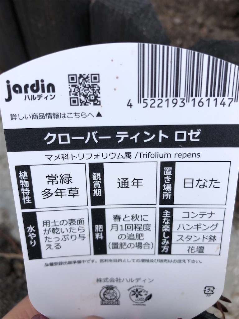f:id:mimimigarden:20210520142511j:image