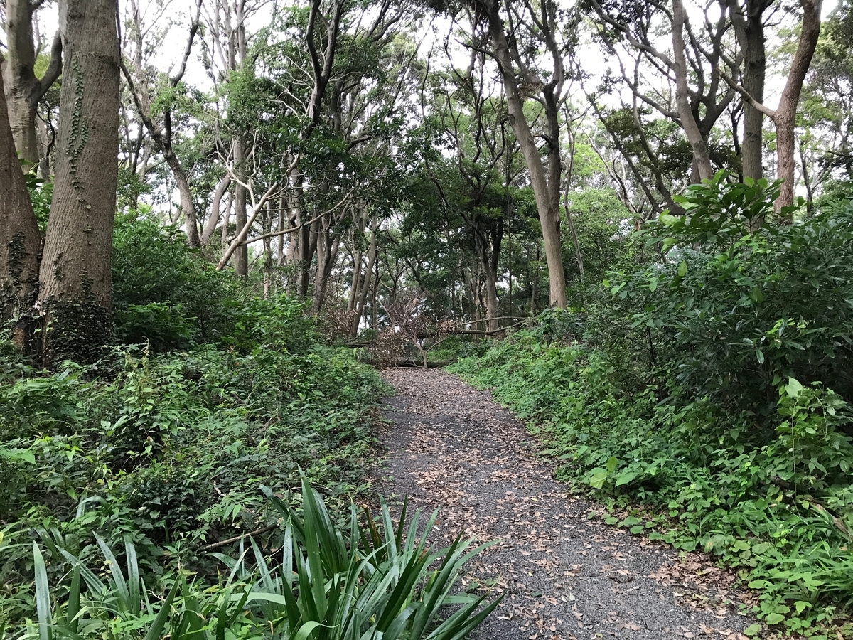 f:id:mimimimm:20190804170154j:plain