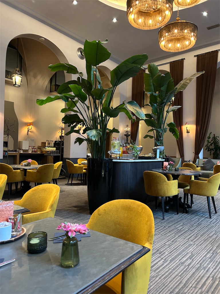 f:id:mimimomorie:20250816203122j:image