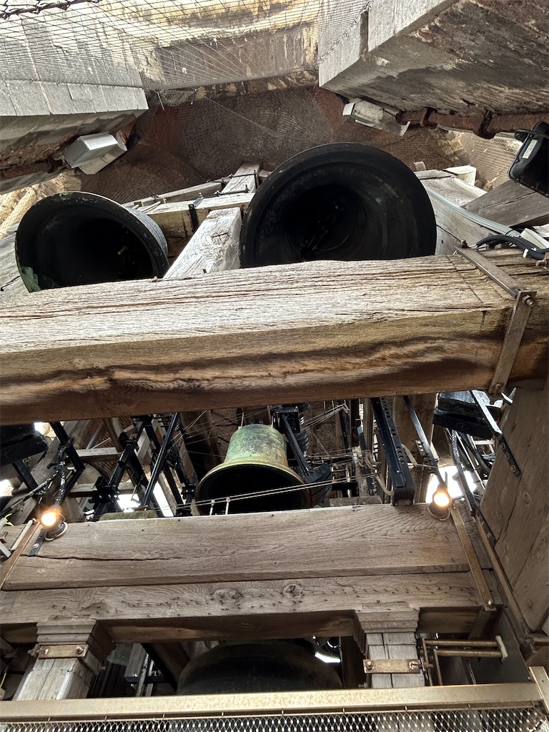 f:id:mimimomorie:20250829165828j:image