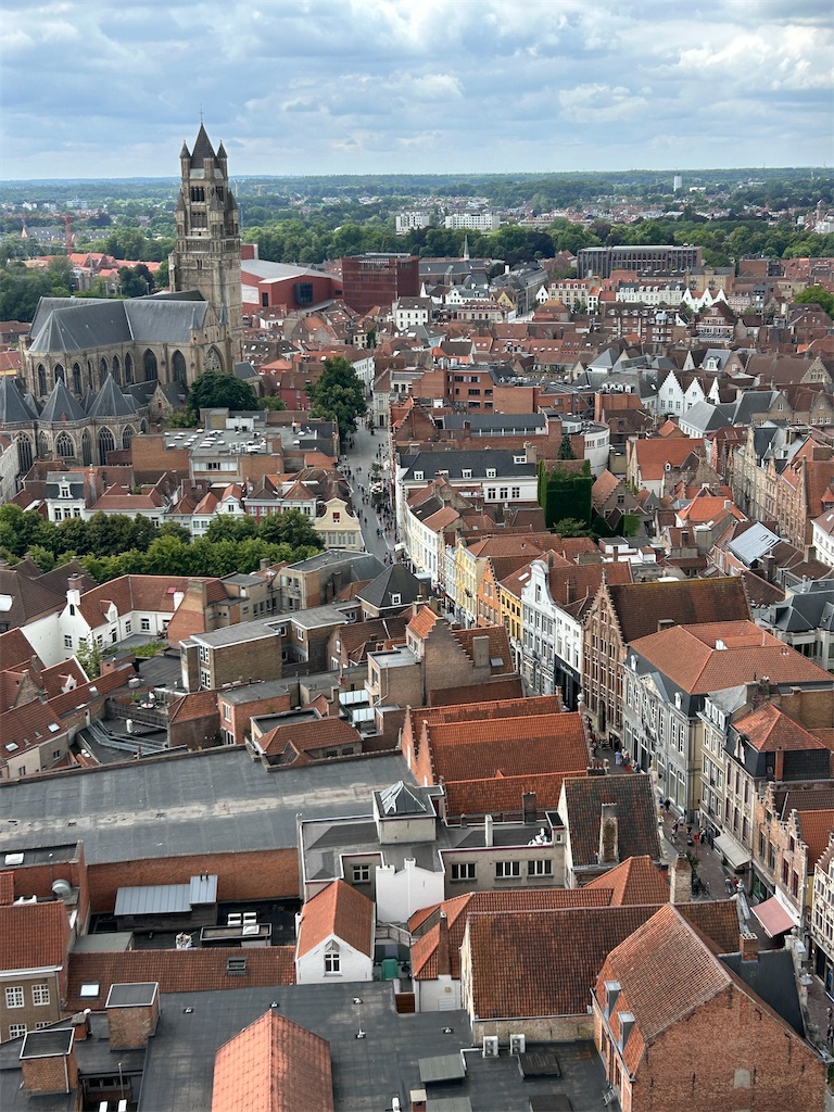 f:id:mimimomorie:20250829165854j:image