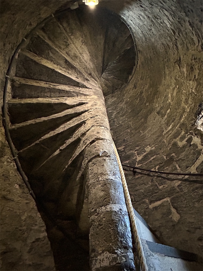 f:id:mimimomorie:20250831234236j:image