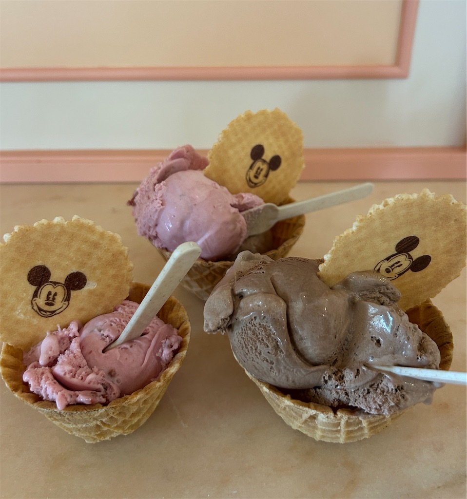 f:id:mimimomorie:20250929170121j:image