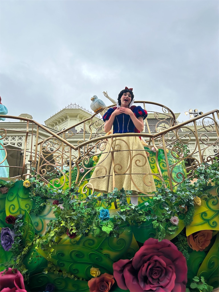 f:id:mimimomorie:20251005092005j:image