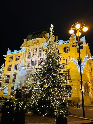 f:id:mimimomorie:20251130143202j:image