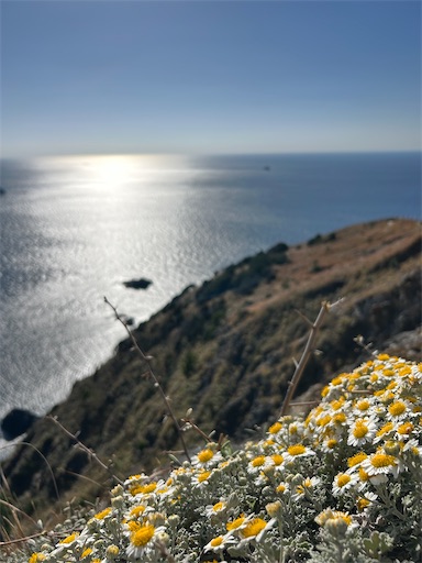 f:id:mimimomorie:20251209151628j:image