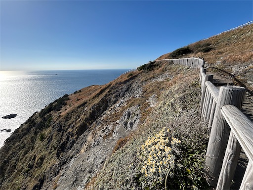 f:id:mimimomorie:20251209151643j:image