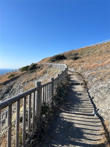 f:id:mimimomorie:20251209151647j:image