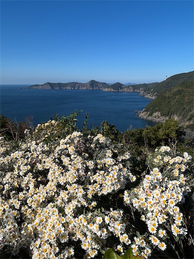 f:id:mimimomorie:20251209152132j:image