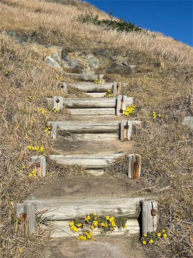 f:id:mimimomorie:20251209152136j:image