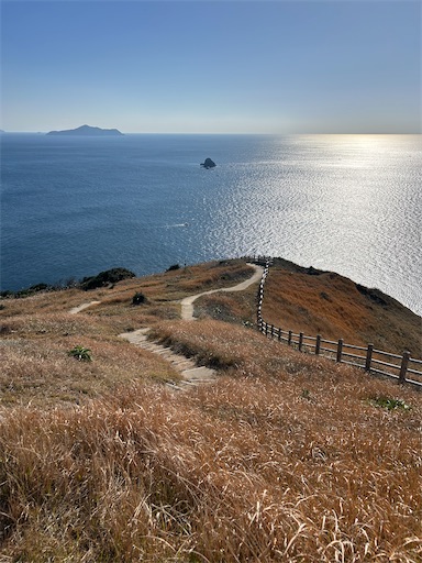 f:id:mimimomorie:20251209152147j:image