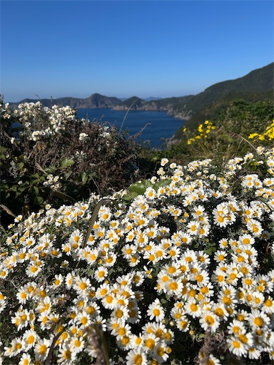 f:id:mimimomorie:20251210175835j:image