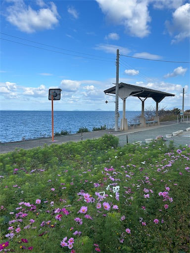 f:id:mimimomorie:20251216095832j:image