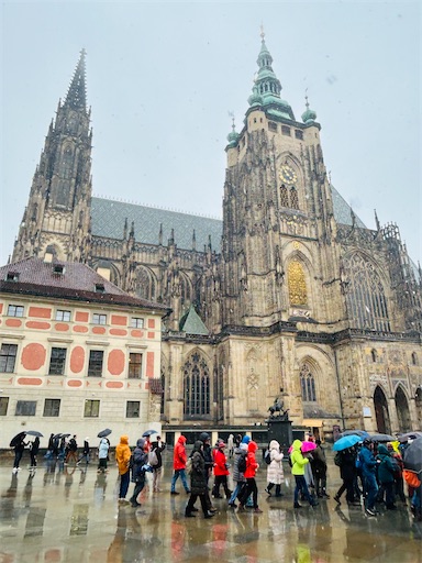 f:id:mimimomorie:20251220082740j:image