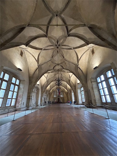 f:id:mimimomorie:20251223114137j:image